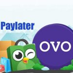 Cara Mengaktifkan OVO Paylater Terbaru Melalui Aplikasi