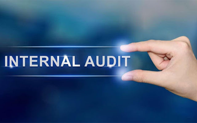 Pengertian Internal Audit Beserta Dengan Fungsi Tujuan dan Contohnya