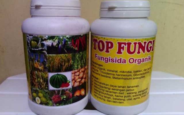 Fungisida