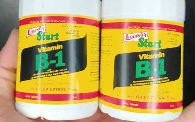 Pupuk Vitamin B1