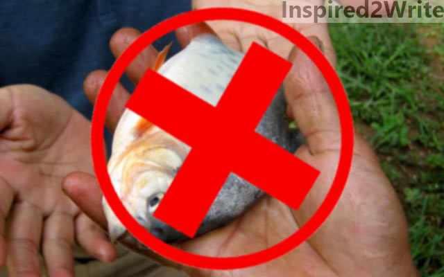 Umpan Ikan Bawal yang Dilarang