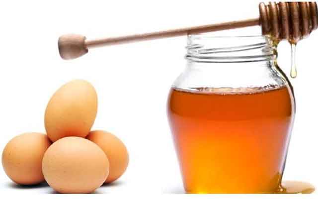 Pemberian Telur Itik dan Madu Pada Ayam Aduan